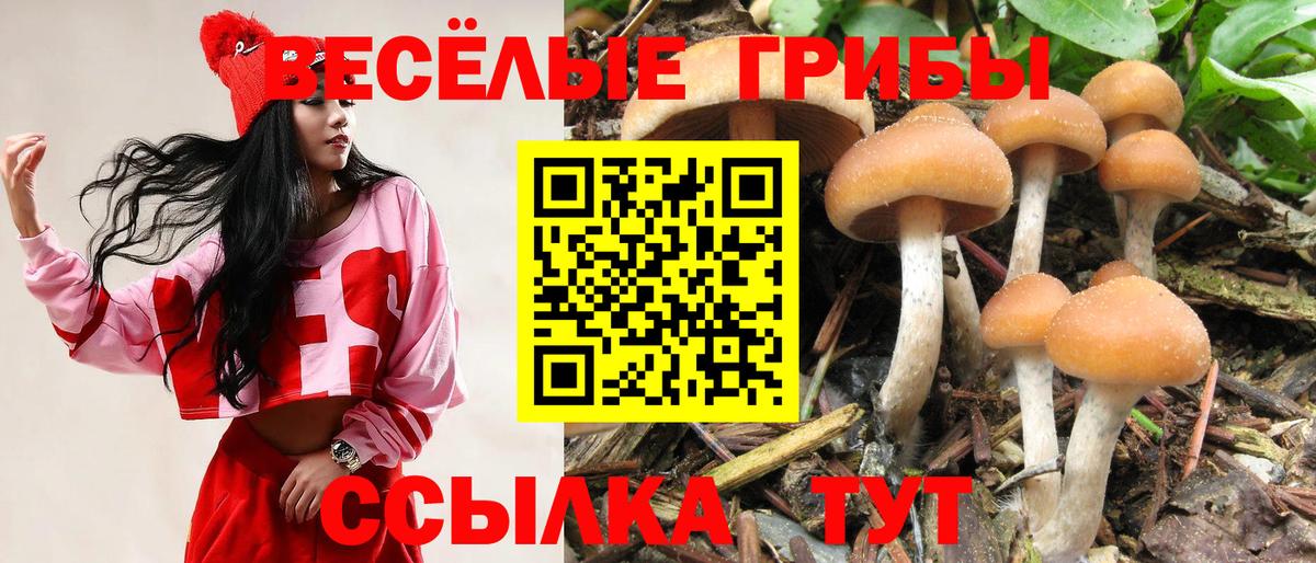 ГАШИШ  Экстази  Вход с VPN  Кокаин  Меф МЯУ МЯУ кристаллы  Алушта  ГАШИШ 