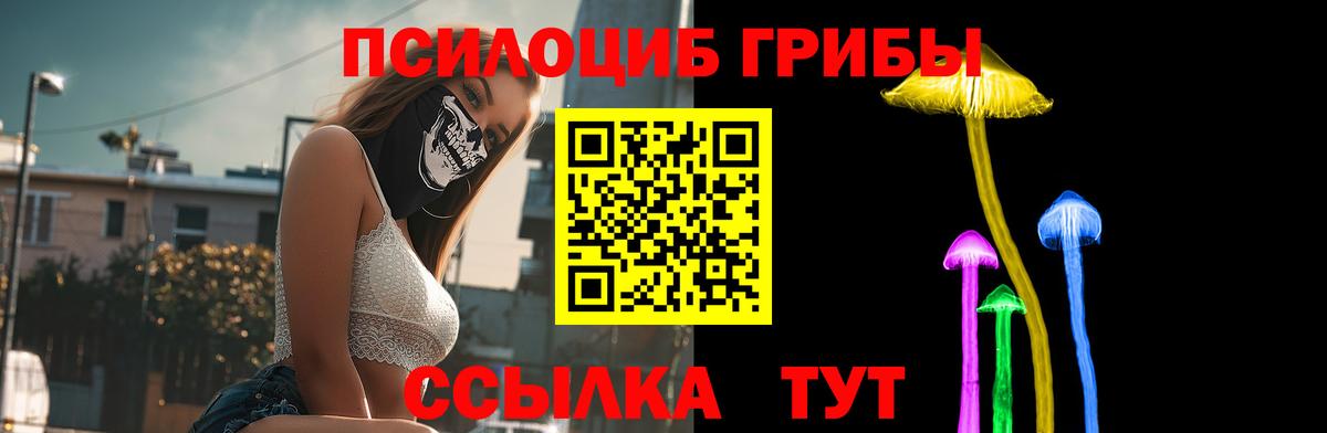 Псилоцибиновые грибы прущие грибы Алушта